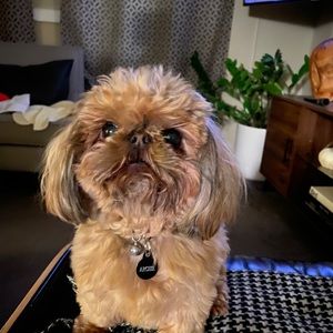 Meet your Posher, Kenneth